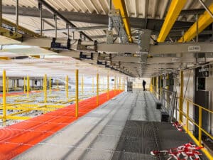 IMG_5104